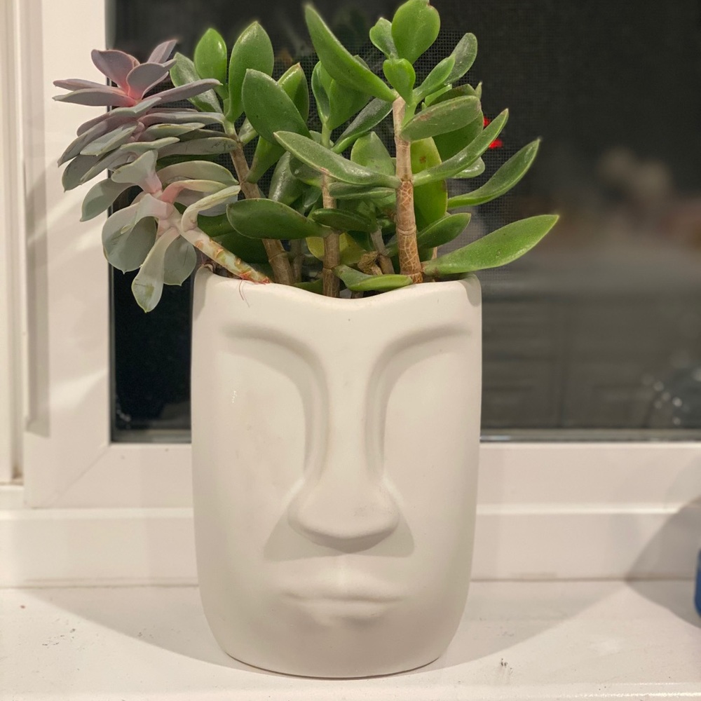 Ceramic vase